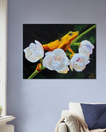 Rana Dorada (Golden Frog)