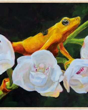 Wildlife & Nature Wall Art Paper Poster and Wooden Frame