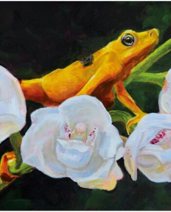 Wildlife & Nature Wall Art Museum-Quality Poster | Landscape and Nature